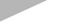 Netum Buutti logo